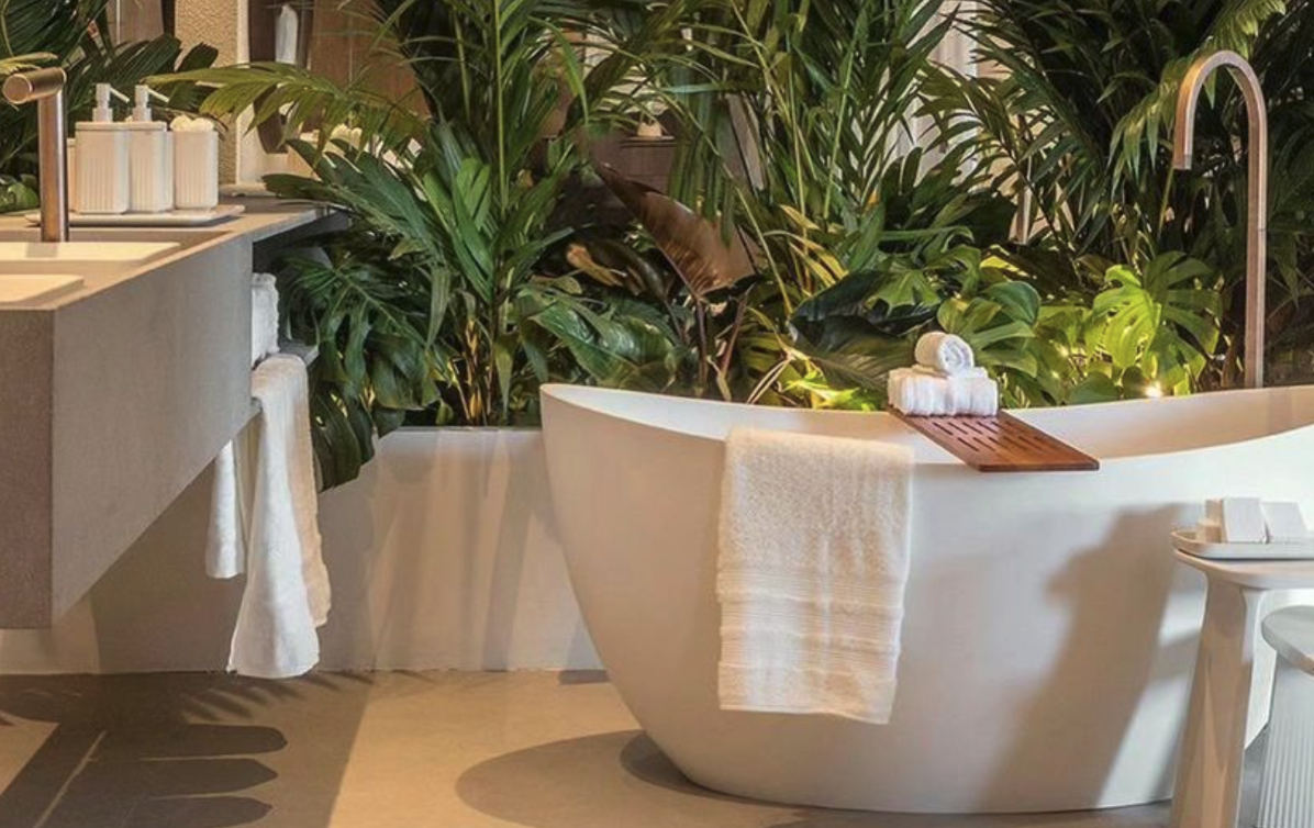 Banheira freestanding em ambiente com plantas, destacando relaxamento e experiência sensorial